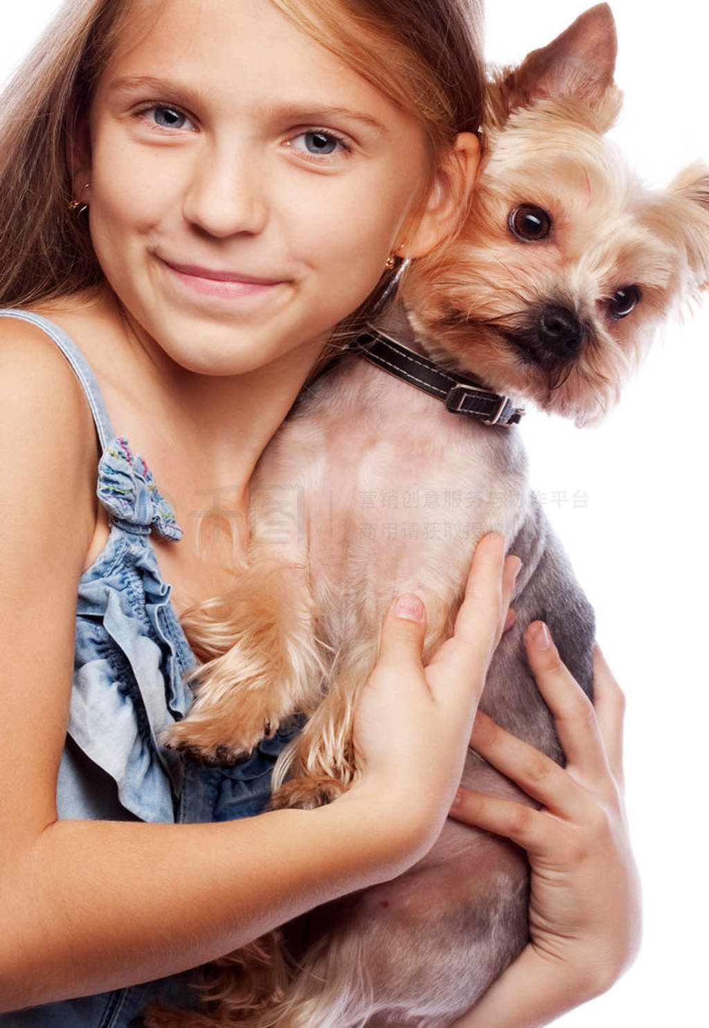 Beautiful blond girl with cute yorkshire terrier dog, isolated