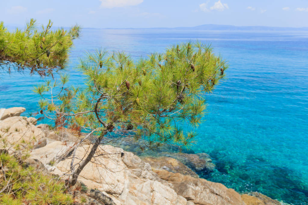 Summer nature landscape and beautiful seascape