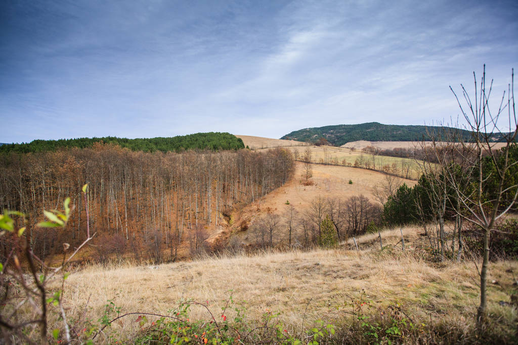 Panoramic View of the Mountain Natural Landscape