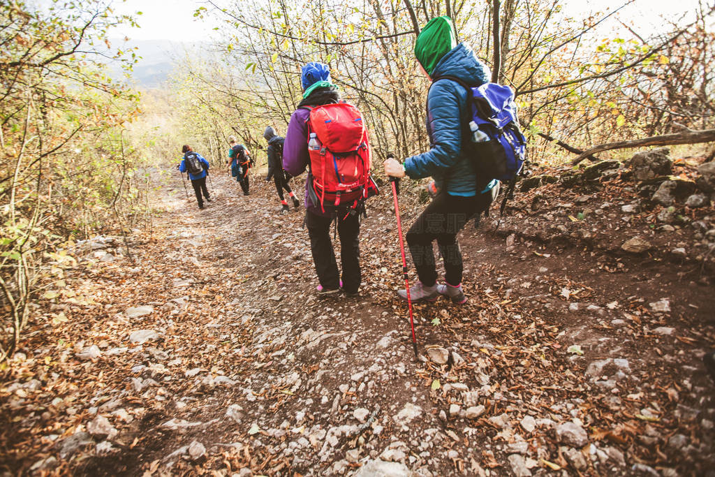 Hiking Group Of People Walking In Nature