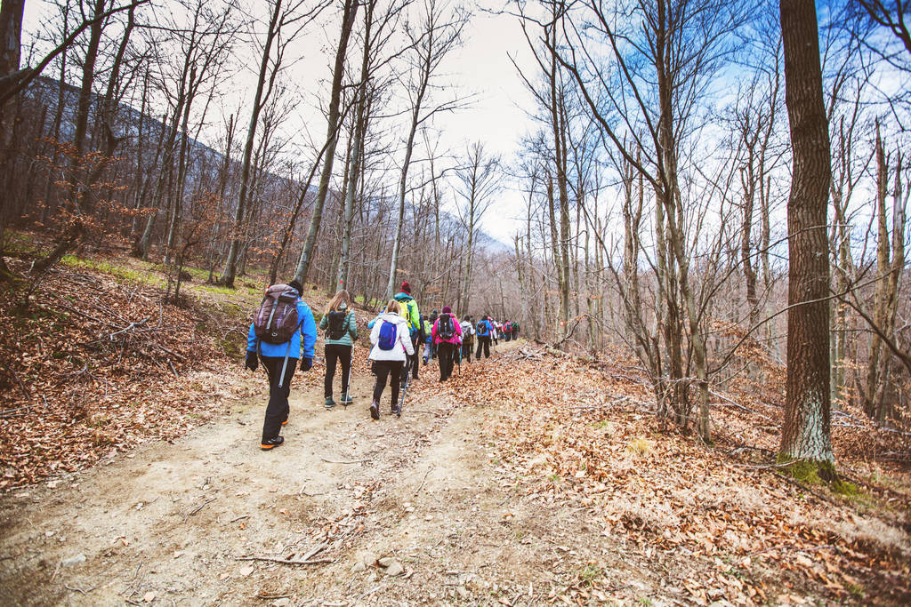 Hiking Group Of People Walking In Nature