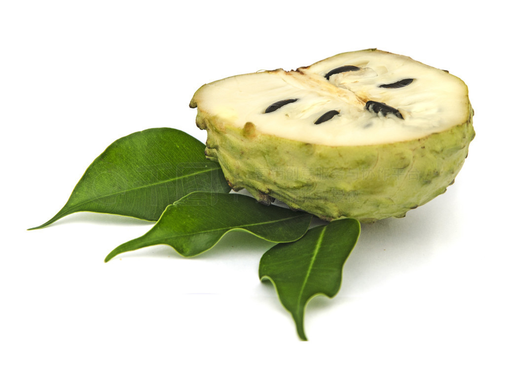 soursop ڹڰɫ