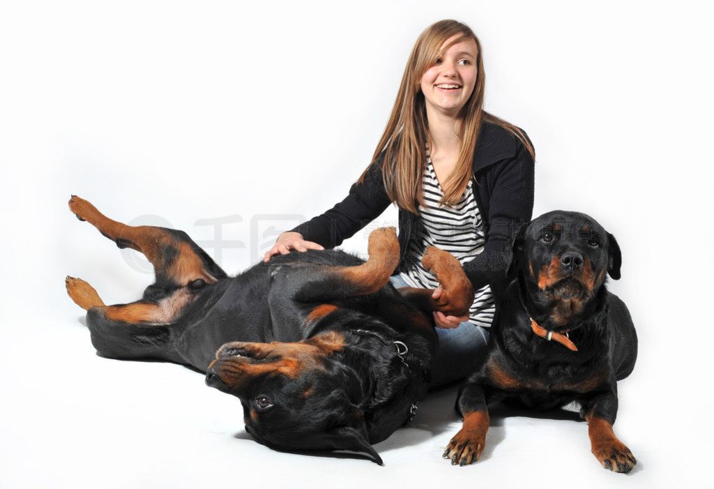  rottweilers