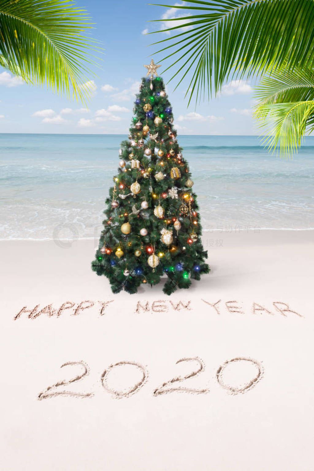 ȴ̲ϵʥ2020