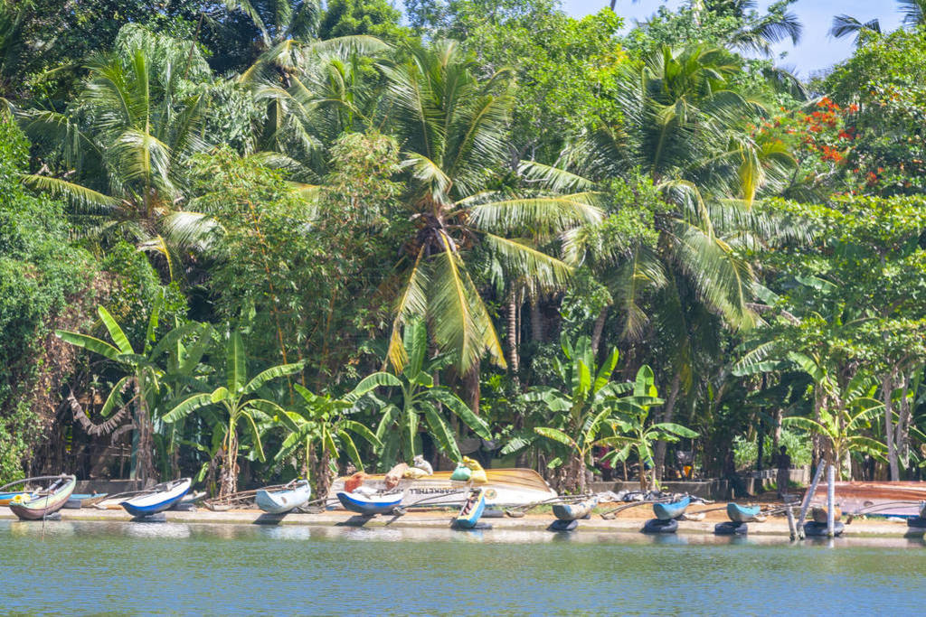 Fisherboats on the shore of Koggala lake