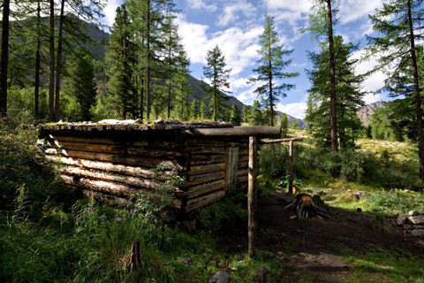 般的風景056在森林中的現代小屋064森林中的溪流042現代山上的小木屋