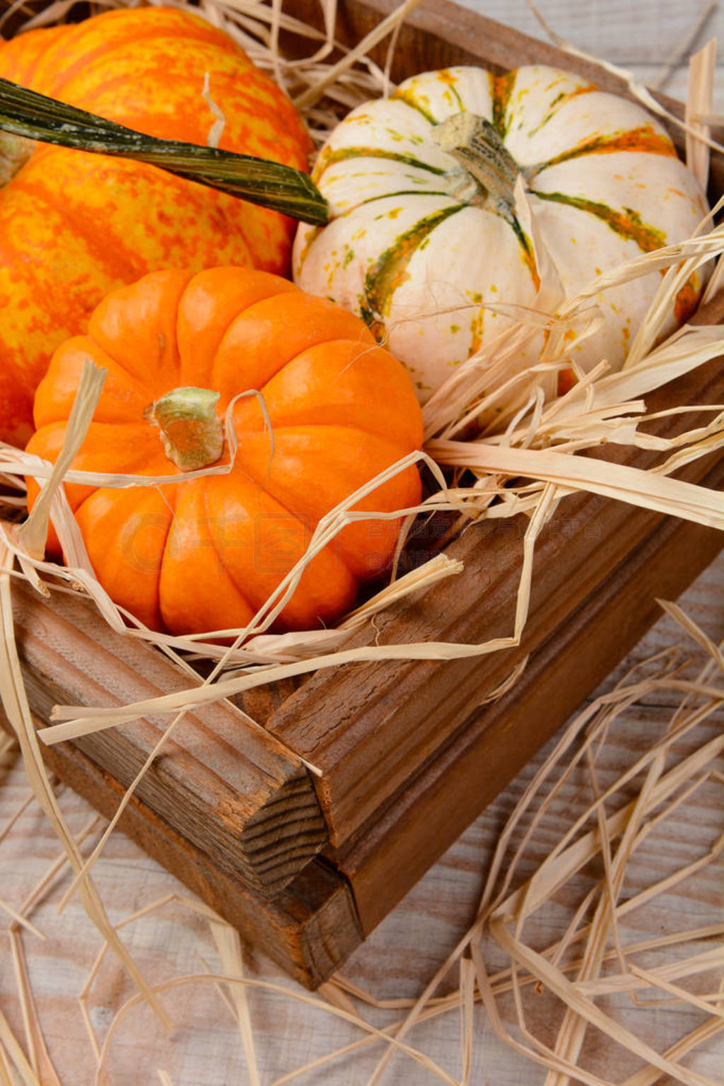 Decorative pumpkins and gourds in wooden crate with straw.