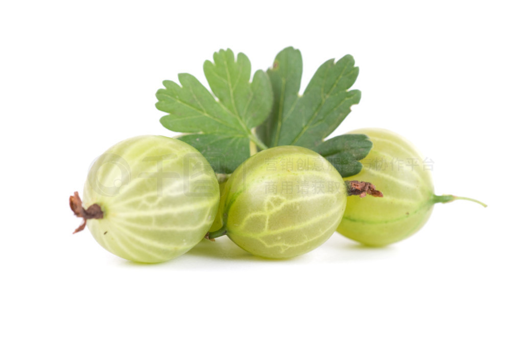 ( gooseberryʸ )  Ů˵ʳģŮ ݣH֮Ĳ֪Ȥߣ