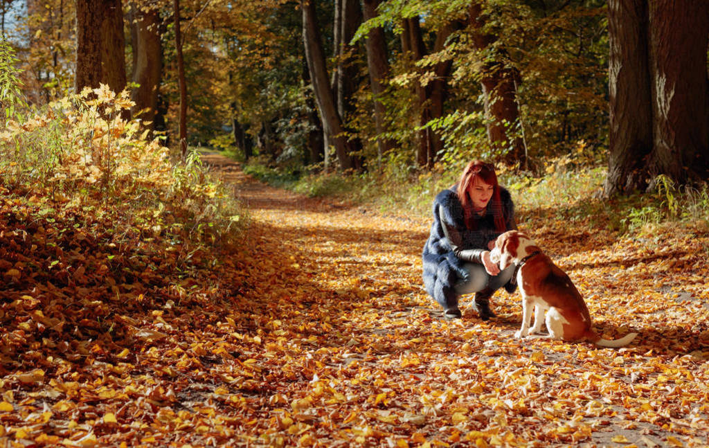 Young woman walking with a dog in the autumn park.