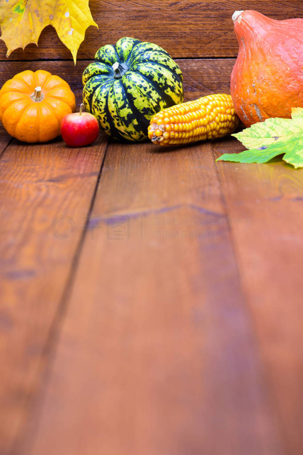 autumn decoration with pumpkin and leaves