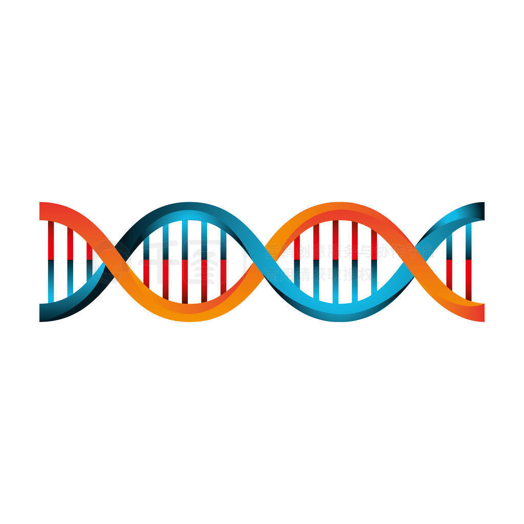 Dna ӵĽṹ