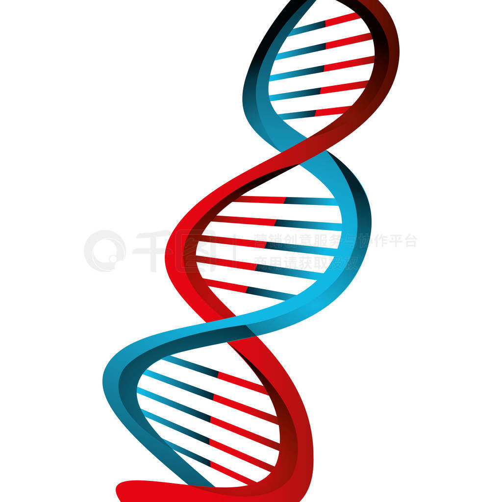 Dna ӵĽṹ