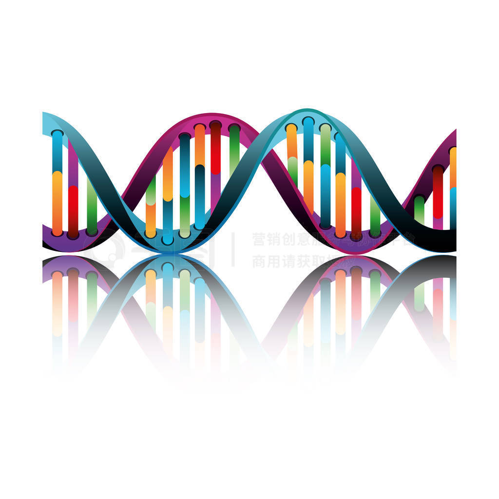 Dna ӵĽṹ