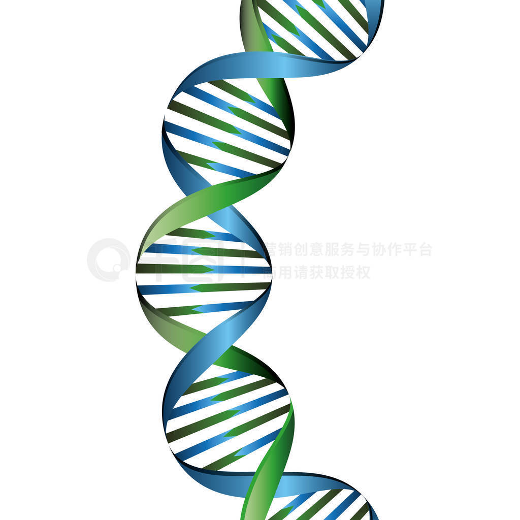 Dna ӵĽṹ