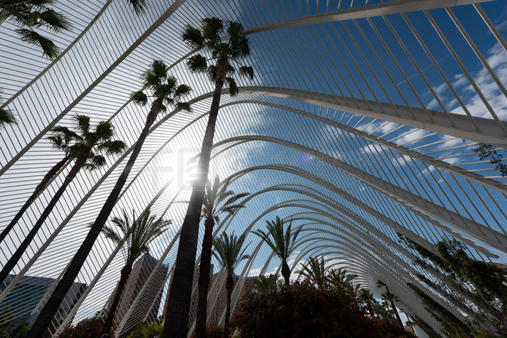 Valencia - the city of arts and Sciences