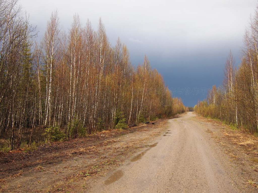 v?gen i skogen·