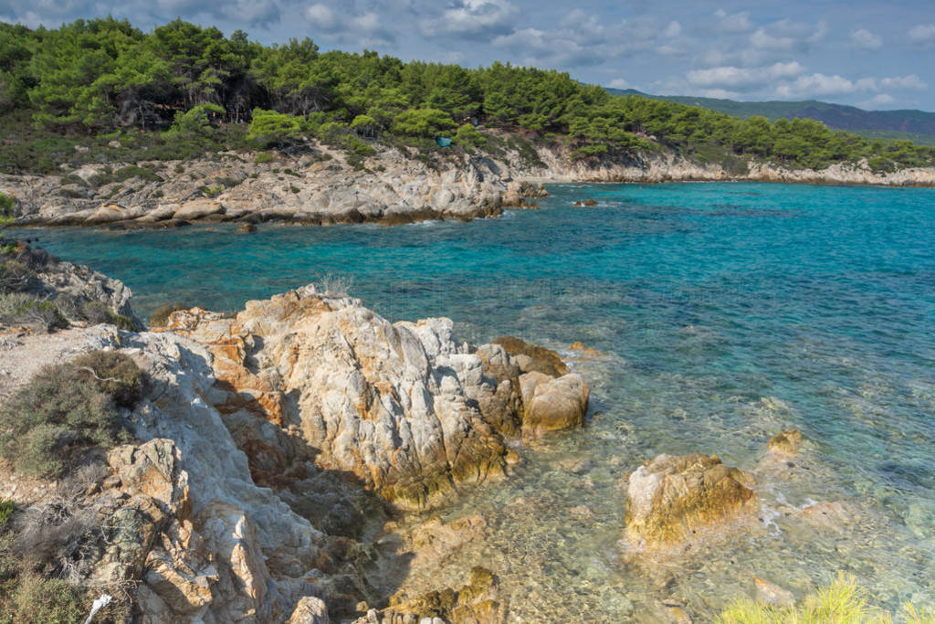 Kavourotripes  Sithonia 뵺, Chalkidiki, ϣв, , ɫ̲ĺ