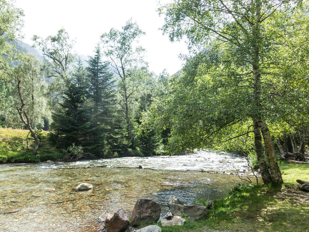 small stream in the Pla De Boavi; in the province of Lleida, in
