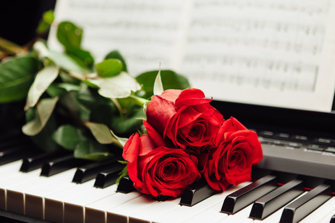 在钢琴键和音乐书上的红玫瑰