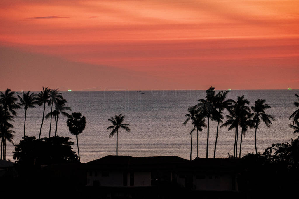 Black Palms silhouettes at orange sunset sky