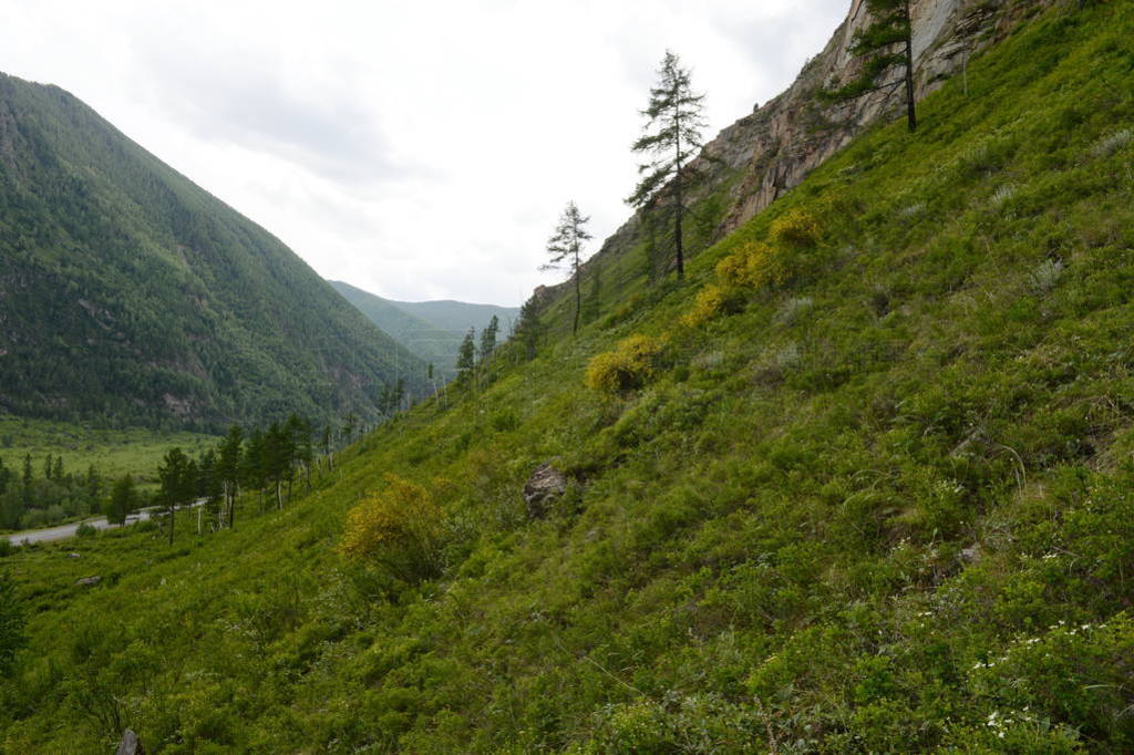 Mountain landscape by the river Chuya, Altai Republic, Siberia,