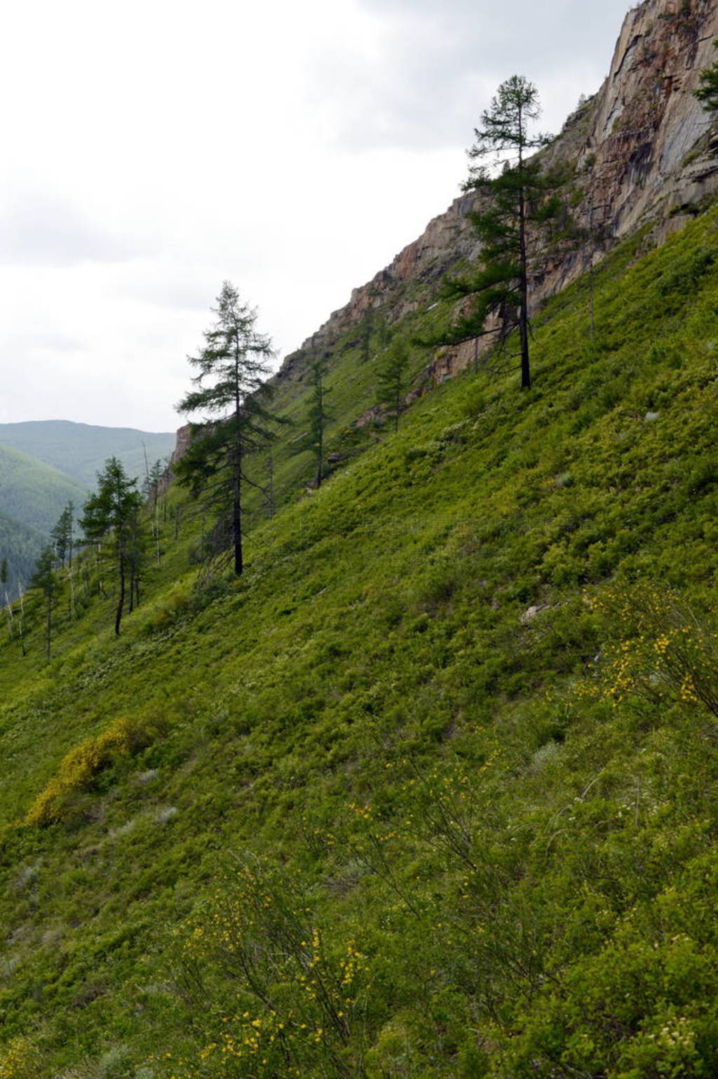 Mountain landscape by the river Chuya, Altai Republic, Siberia,