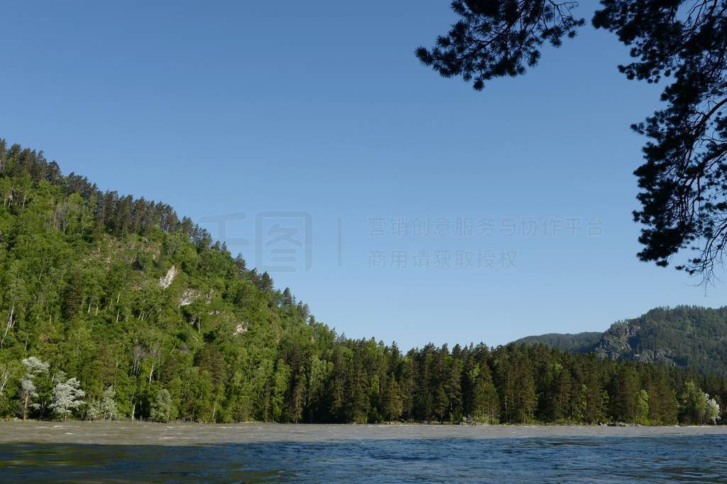 Mountain river Katun. Altai Republic. Western Siberia. Russia