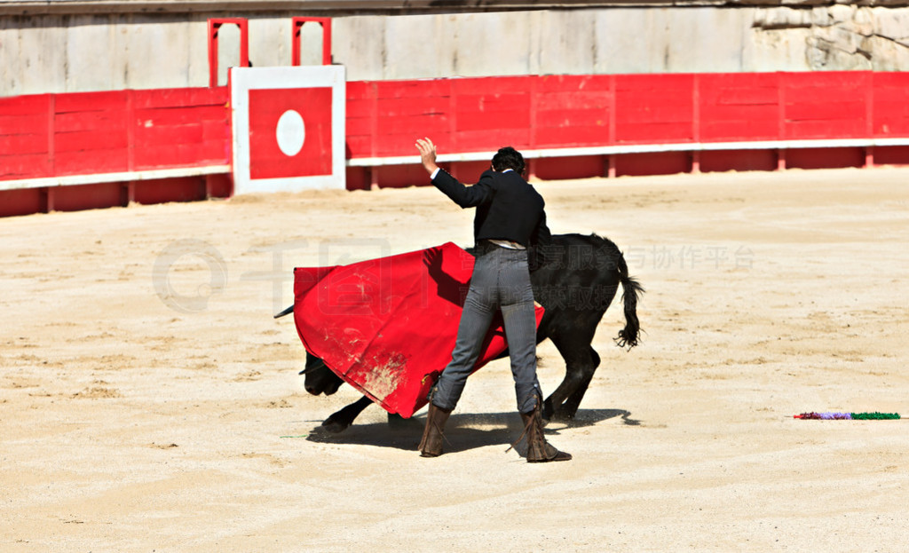Bullfighting in the n?mes arena