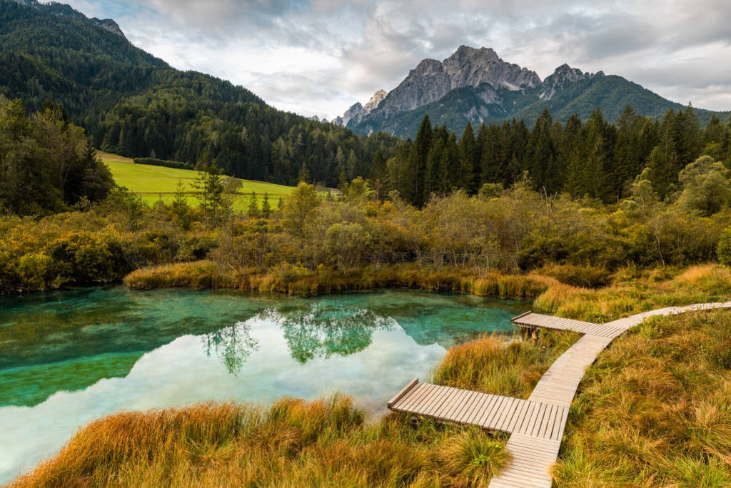 Emerald Lake at Zelenci in Slovenia. Alpine Landscape at Autumn