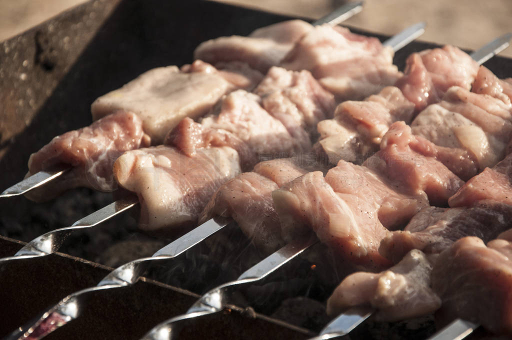 Shashlik pork on skewers close up. Meat roasted on an open fire