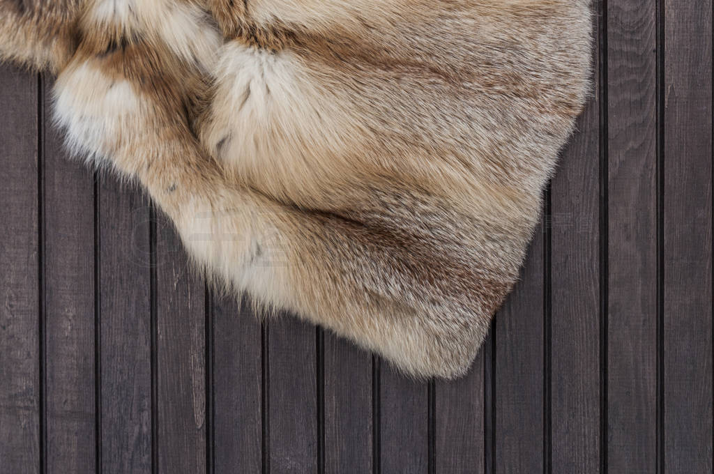 Textures red fox fur on wooden background. Top view.