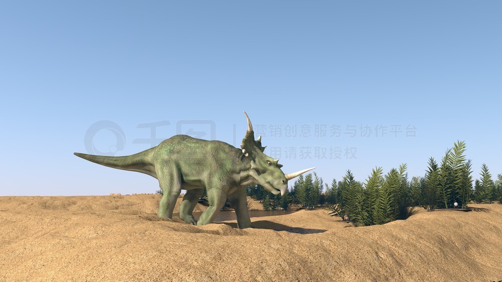 Styracosaurus ɫ