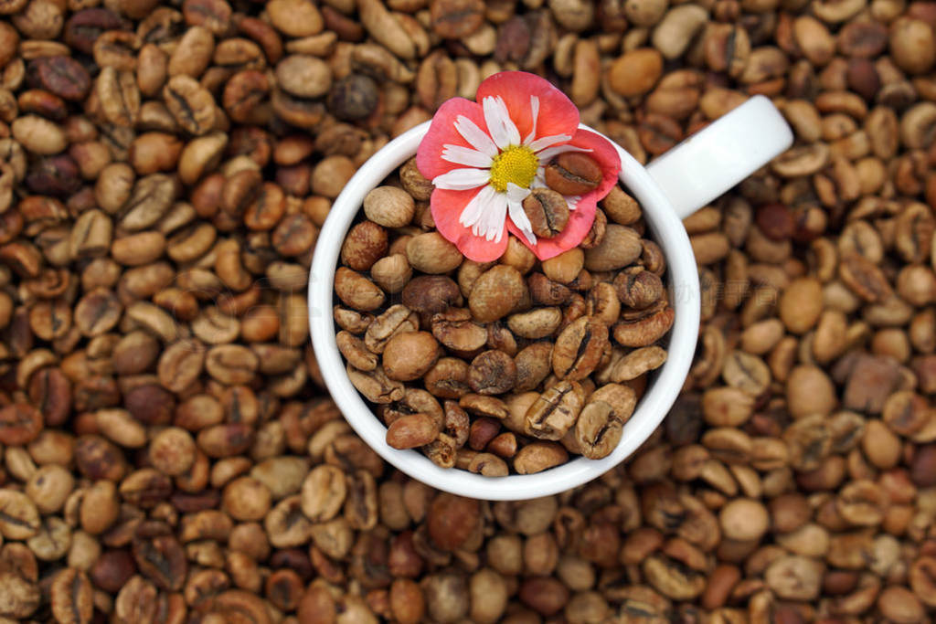 medium roasted coffee beans with white porcelain cup