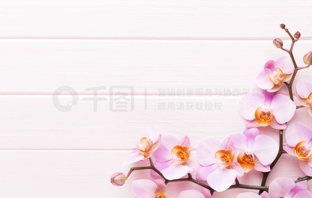 Beauty and fashion concept with spa set on pastel rustic wooden