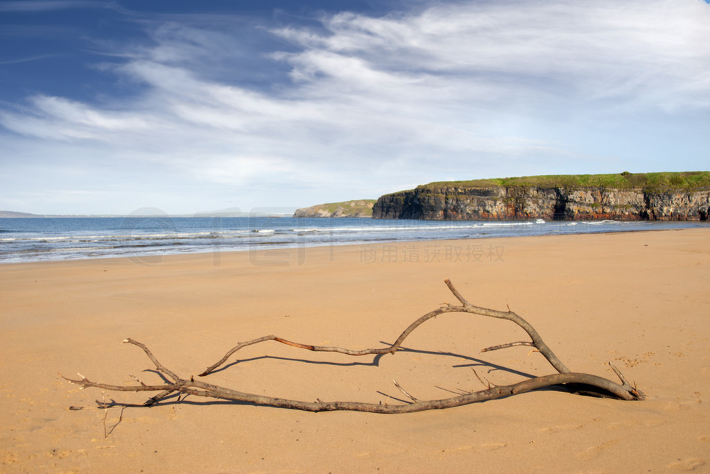  ballybunion ̲ϵĸľ