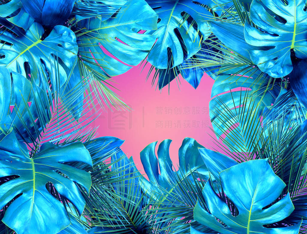 Trendy turquoise colored close up of various tropical leaves on