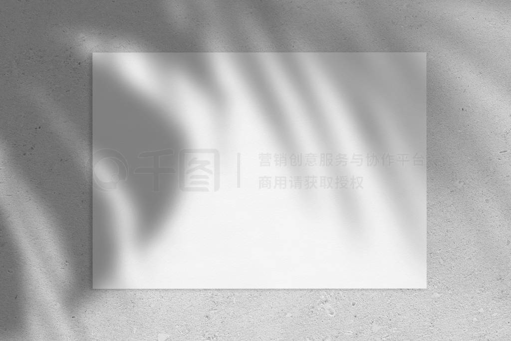 Empty white horizontal rectangle poster or card mockup with palm