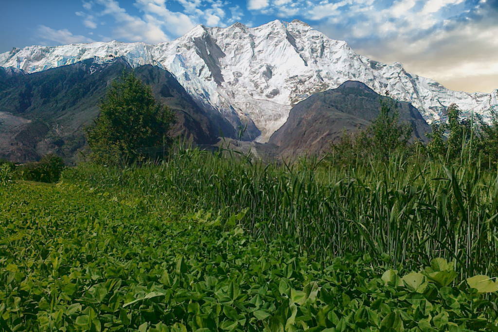 ͻ˹̹ɽɽ Nasirabad ӹȺ Rakaposhi