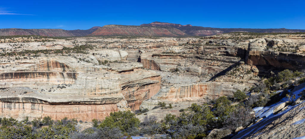 curves of the canyon