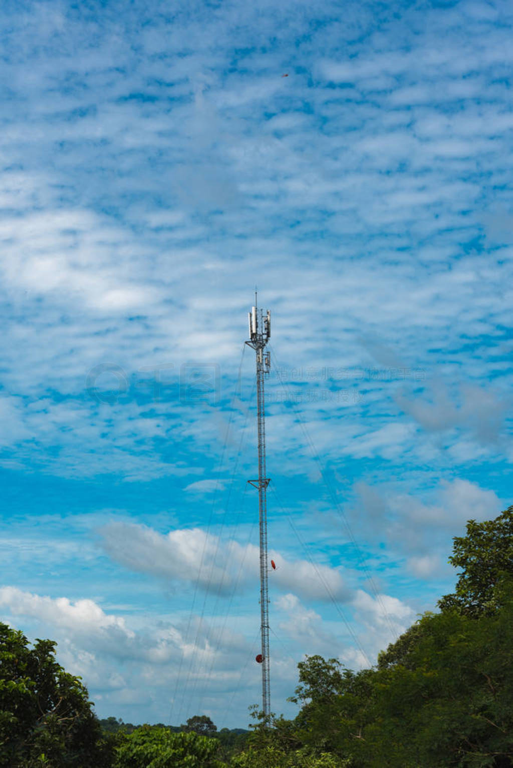 Antenna signal pole