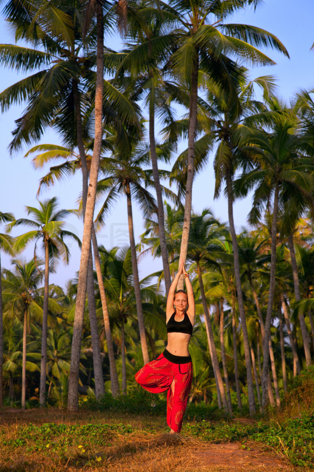 Ů vrikshasana