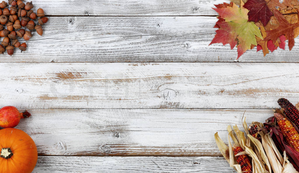 Autumn decorations in each corner of white rustic wooden boards
