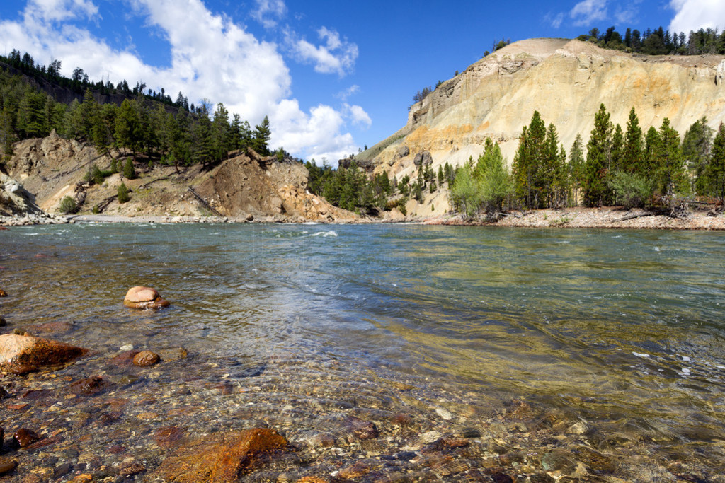 Yellowstone Flu? durch den Canyon Sommer tagsberʯӹᴩϿļһ