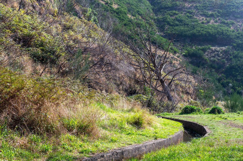 levada