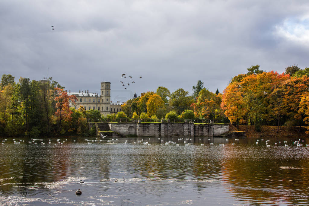 Gatchina ԰Ľ