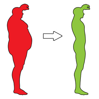 概念 3d 肥胖超重 vs 苗条适合年轻人剪影孤立在白色背景上的肌肉的饮食