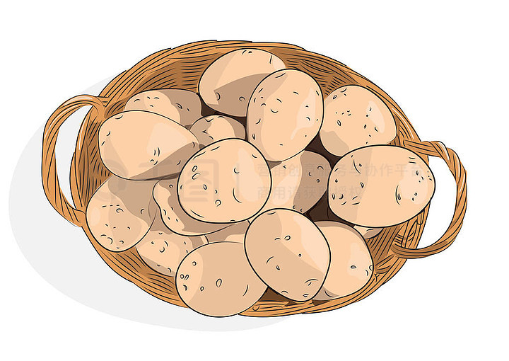 一个白色的背景马铃薯块茎篮子矢量插图