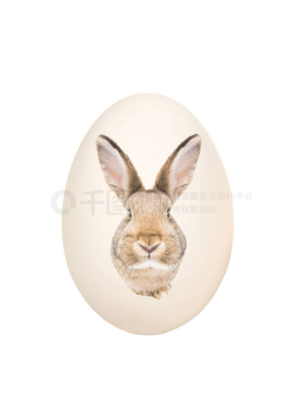Easter egg with the image of a brown rabbit isolated on a white