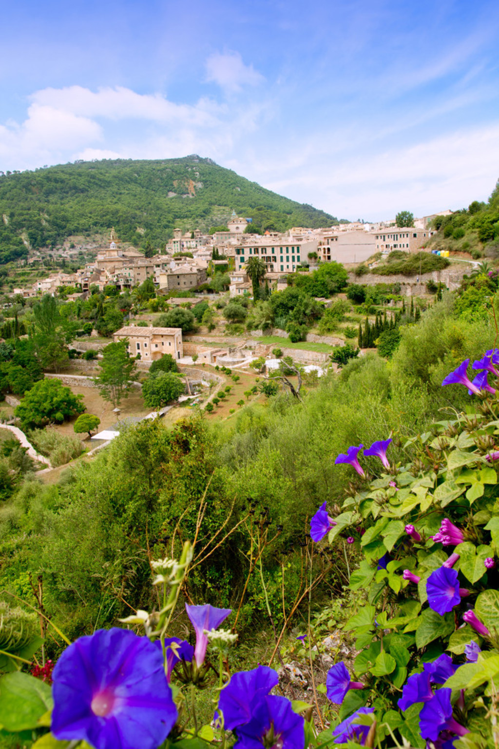 Կͼ valldemossa