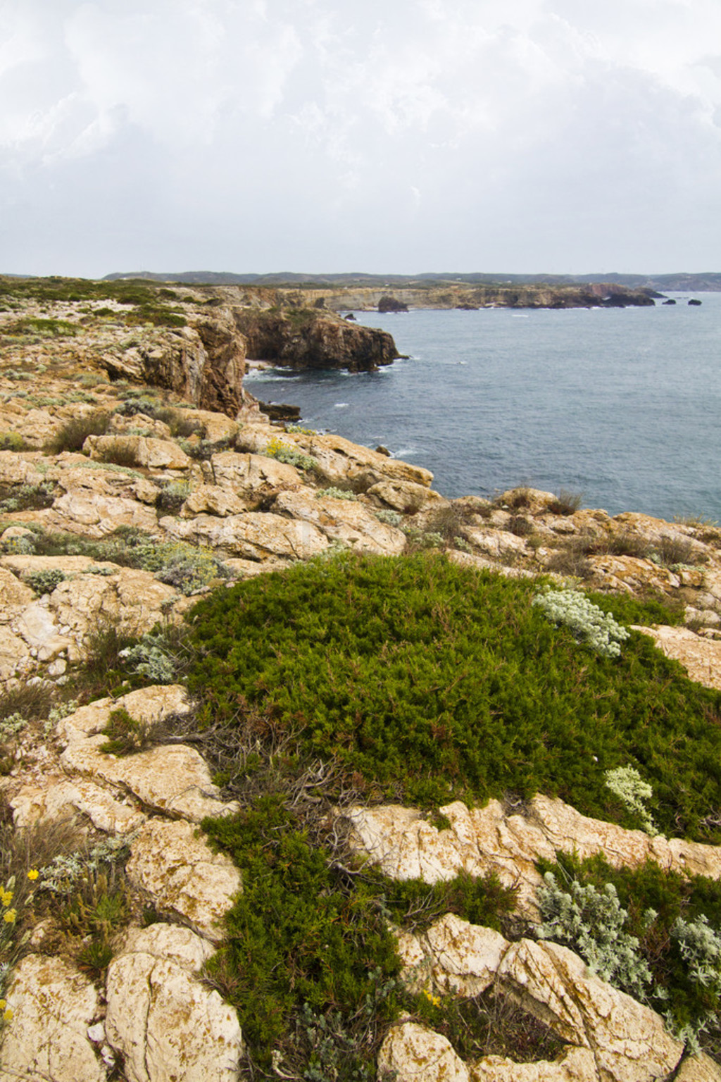 ĺߵ sagres